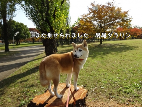 048_20131127004326875.jpg