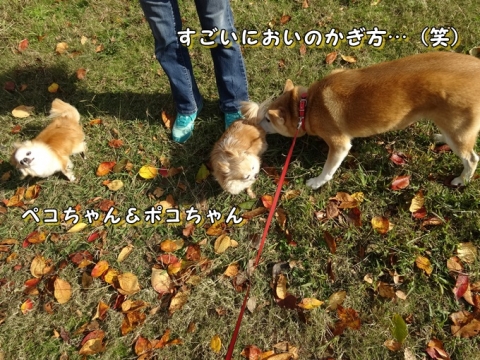 051_201311270110598fe.jpg