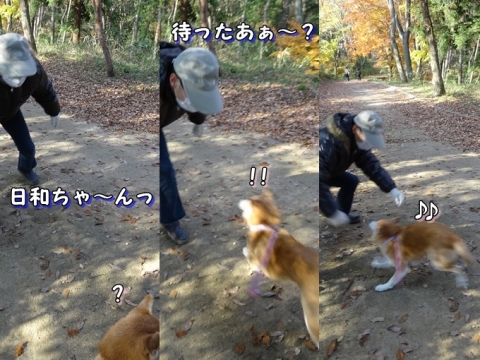 日和、喜ぶ♪
