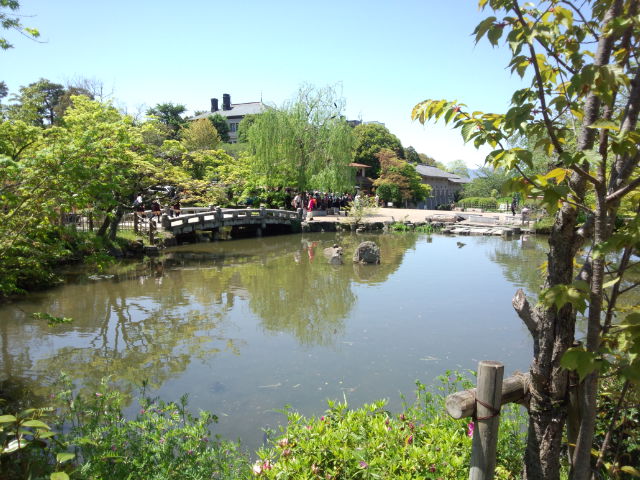DSC_0069.jpg