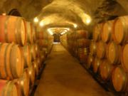 洞窟の中のワイン樽