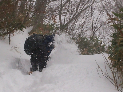 2013121522044591f.jpg