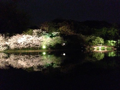 写真 (170)-1