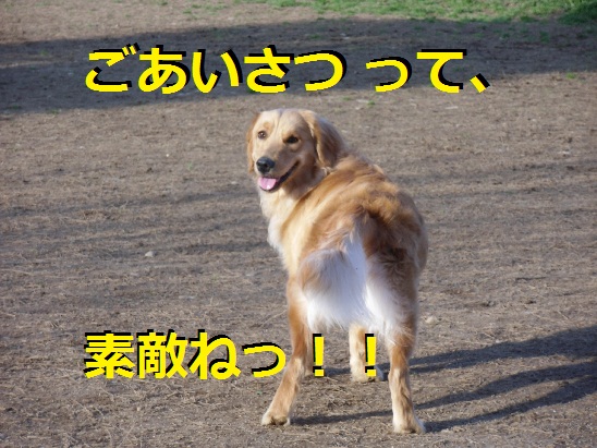 CIMG0238.jpg