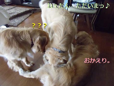 CIMG0416.jpg