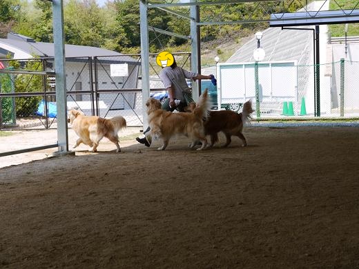 P1010143.jpg