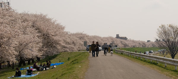 Kumagaya2007_2.JPG