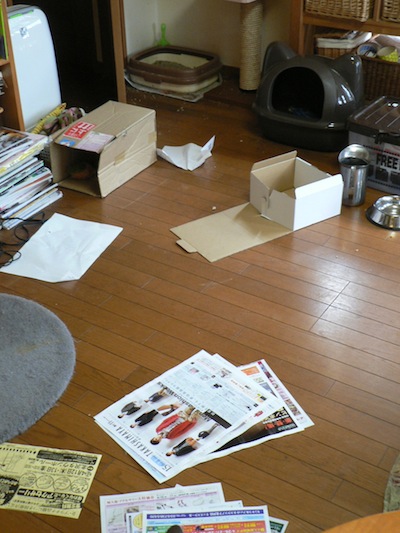P1310299.jpg