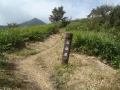 P9293354 (1024x768) (640x480)