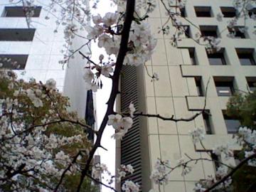 HNI_0035.jpg