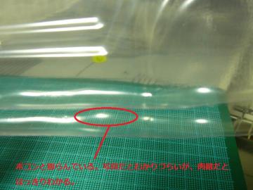 sP1290981.jpg