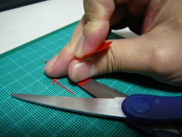 sP1300010.jpg