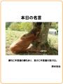 名言1