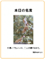名言3
