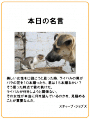 名称未設定-10
