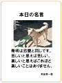 名言1124