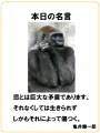 名言1125
