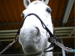 images (5)