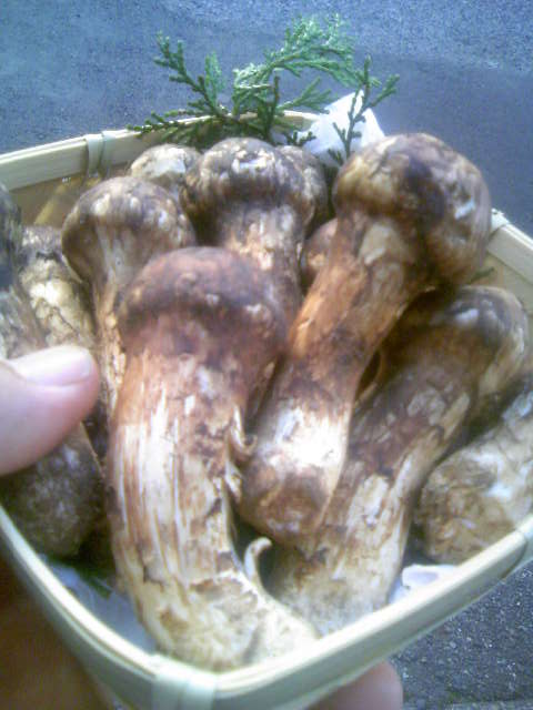 111019_080045.jpg