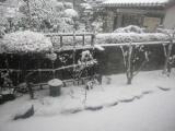 初雪風景