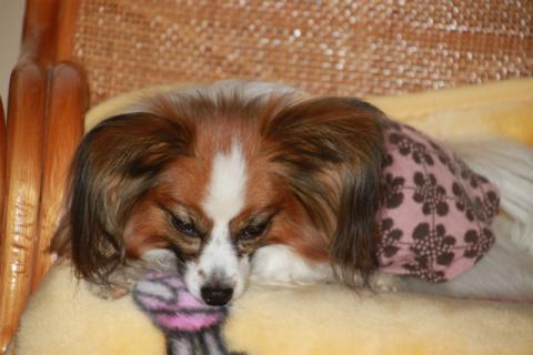 1200211IMG_0567.jpg