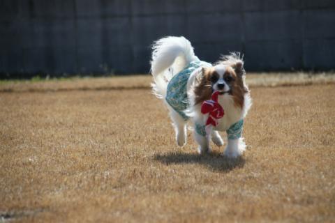 120212IMG_0623.jpg