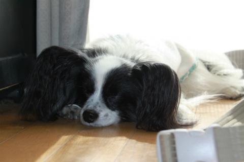 120212IMG_0676.jpg