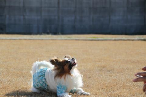 120212IMG_0853.jpg