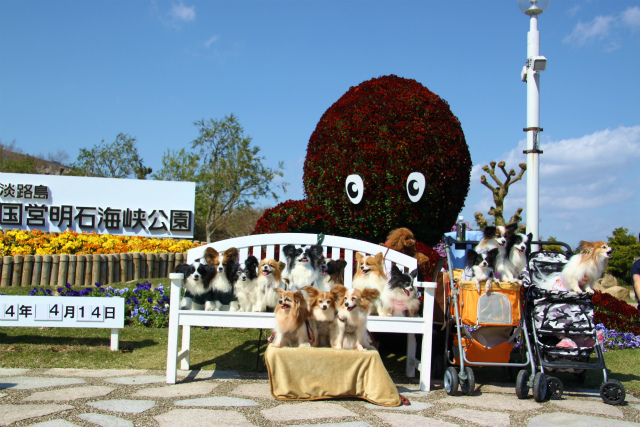 12414IMG_3565.jpg
