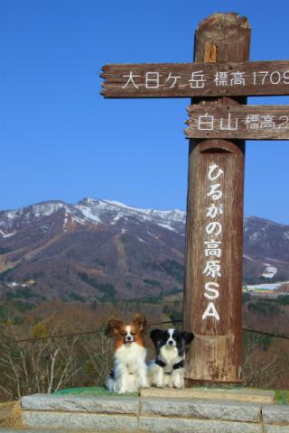 12428IMG_4278.jpg