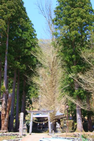 12428IMG_4379.jpg