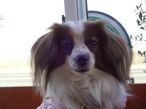 DSC00111.jpg