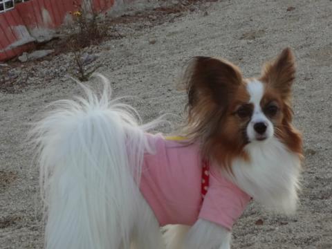 DSC00150.jpg