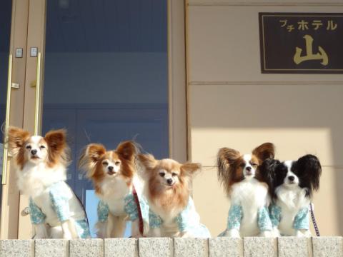 DSC00182.jpg