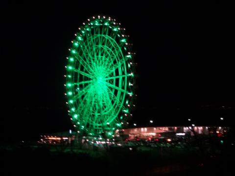 DSC00194.jpg
