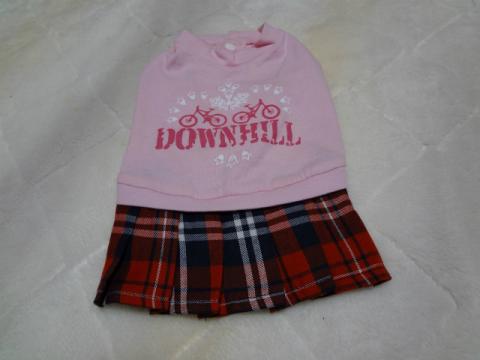 DSC00255.jpg