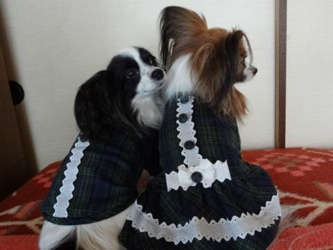 DSC00267.jpg