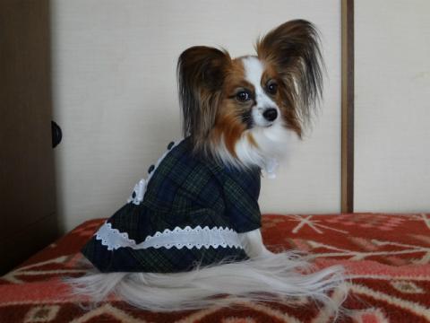 DSC00273.jpg