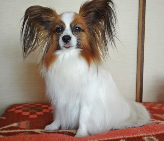 DSC00321.jpg