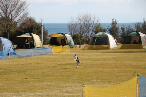 IMG_0389.jpg