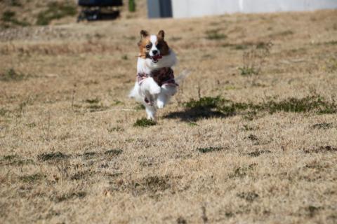 IMG_0432.jpg