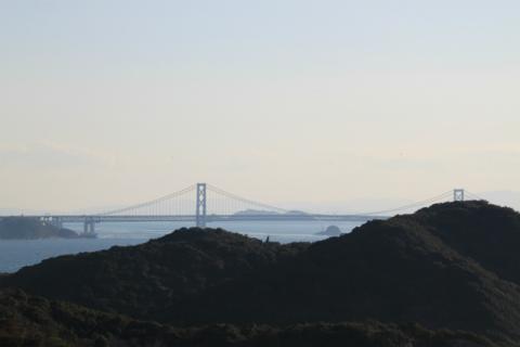 IMG_0504.jpg