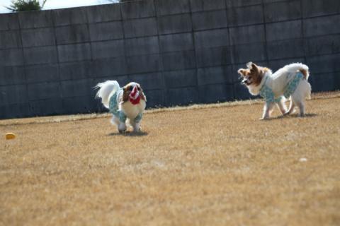 IMG_0632.jpg