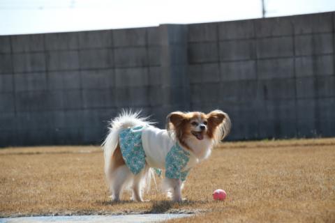 IMG_0645.jpg