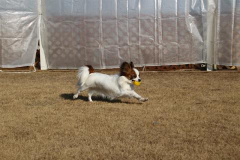 IMG_0920.jpg