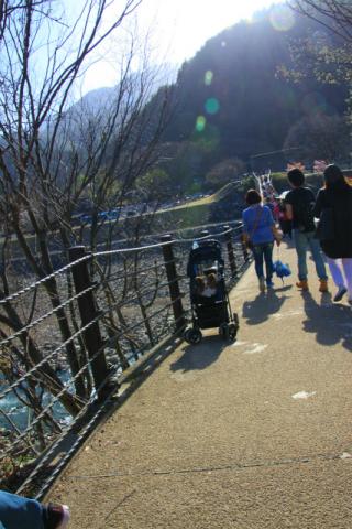 IMG_4634.jpg
