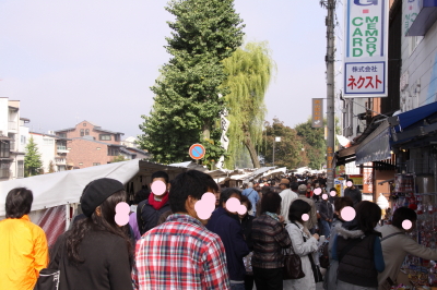 高山旅行 (2) パンチ君に会いに行ったパンチ編
