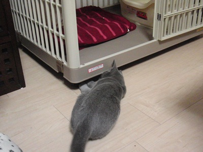 2011121404