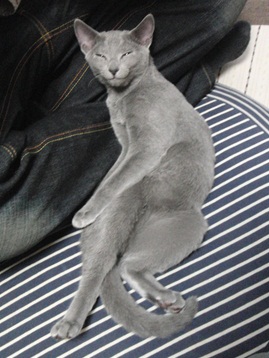 20120101.jpg