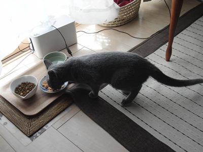 20120107-1.jpg